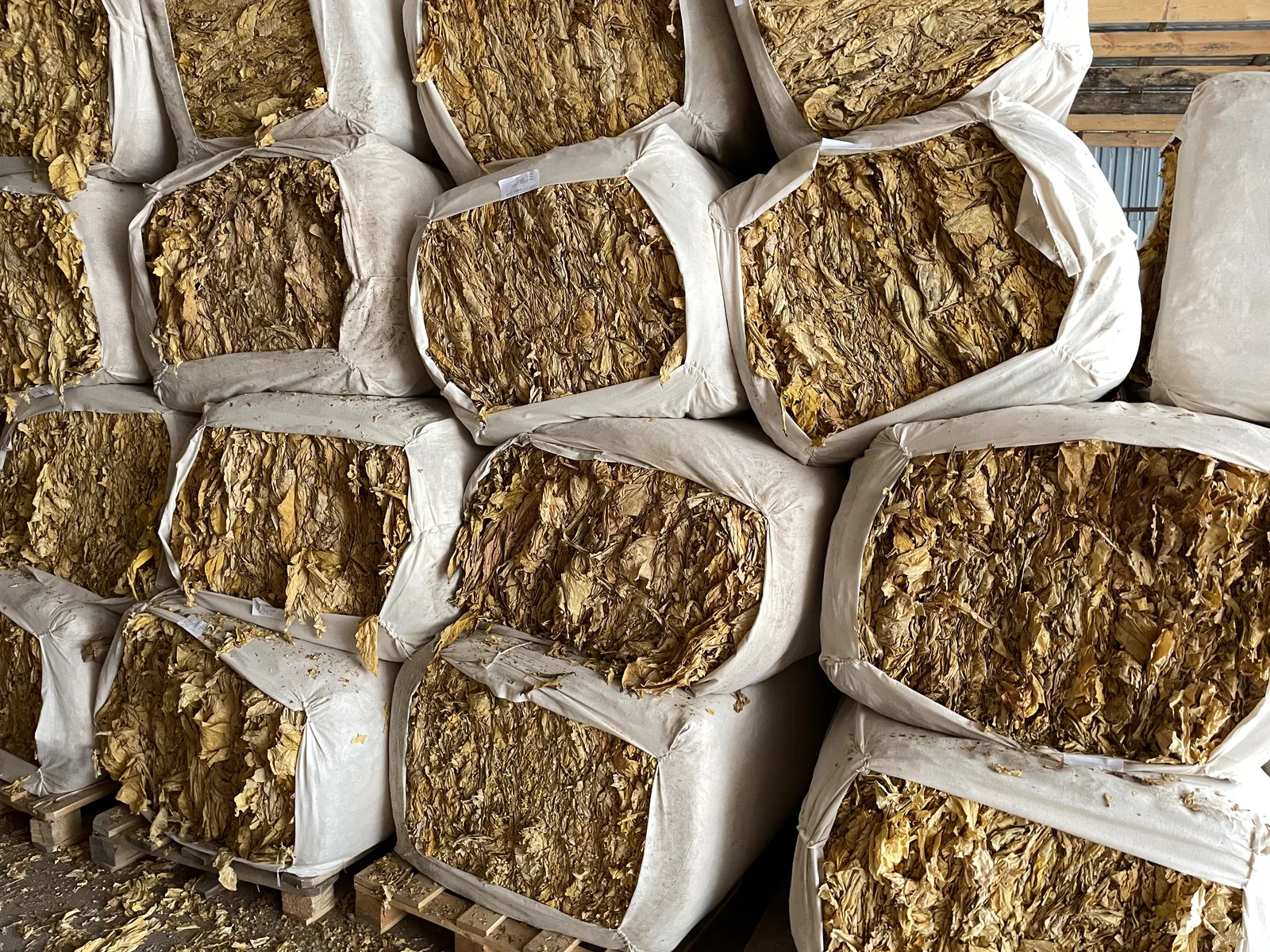 Wrapped bales