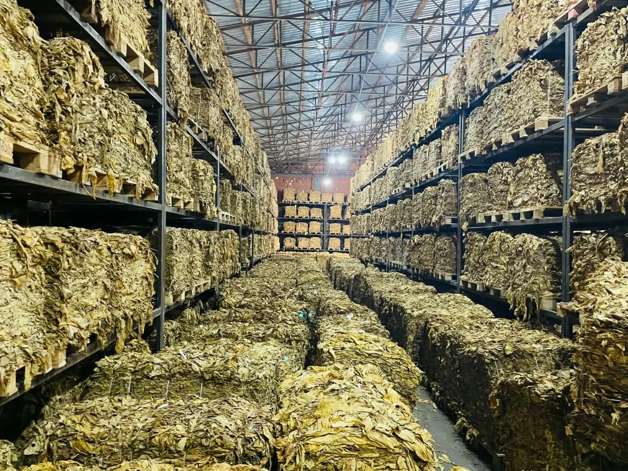 Warehouse aisle of tobacco bales
